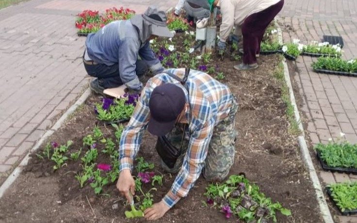 Более 1,5 млн цветов высадят на улицах Караганды этим летом Более 1,5 млн цветов высадят на улицах Караганды этим летом