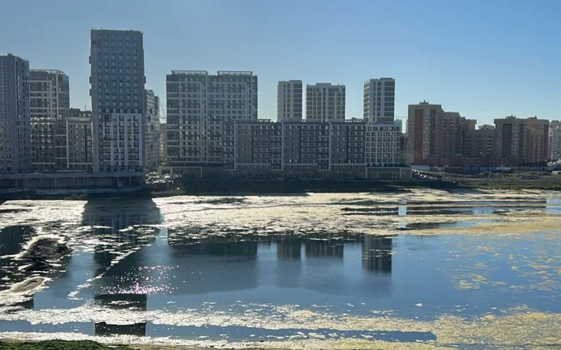 Озеро Малый Талдыколь в Астане приведут в порядок