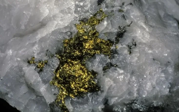 золотая жила