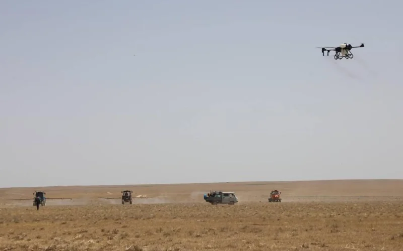 защита сельхозугодий от саранчи  