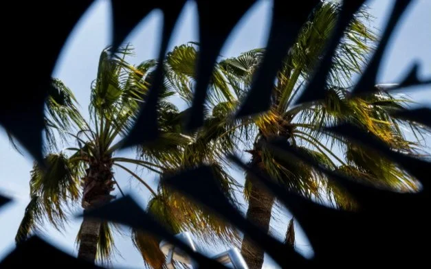 Каннский фестиваль