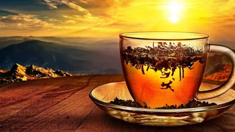 шайдың пайдасы