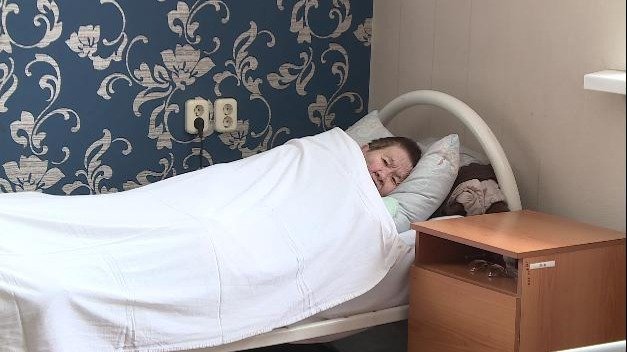 приют