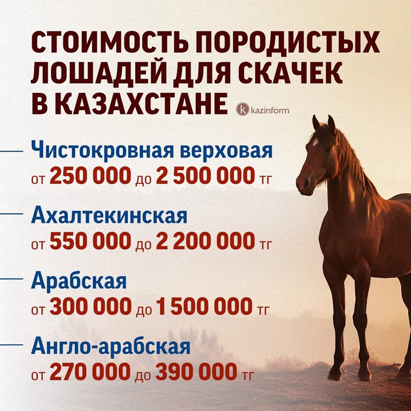 стоимость скакунов, скачки стоимость скакунов, скачки