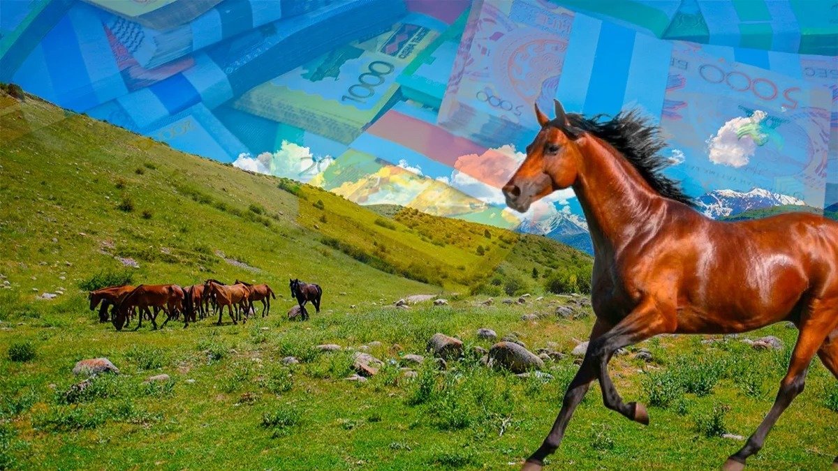 Барда секс бейнелерін қараңыз