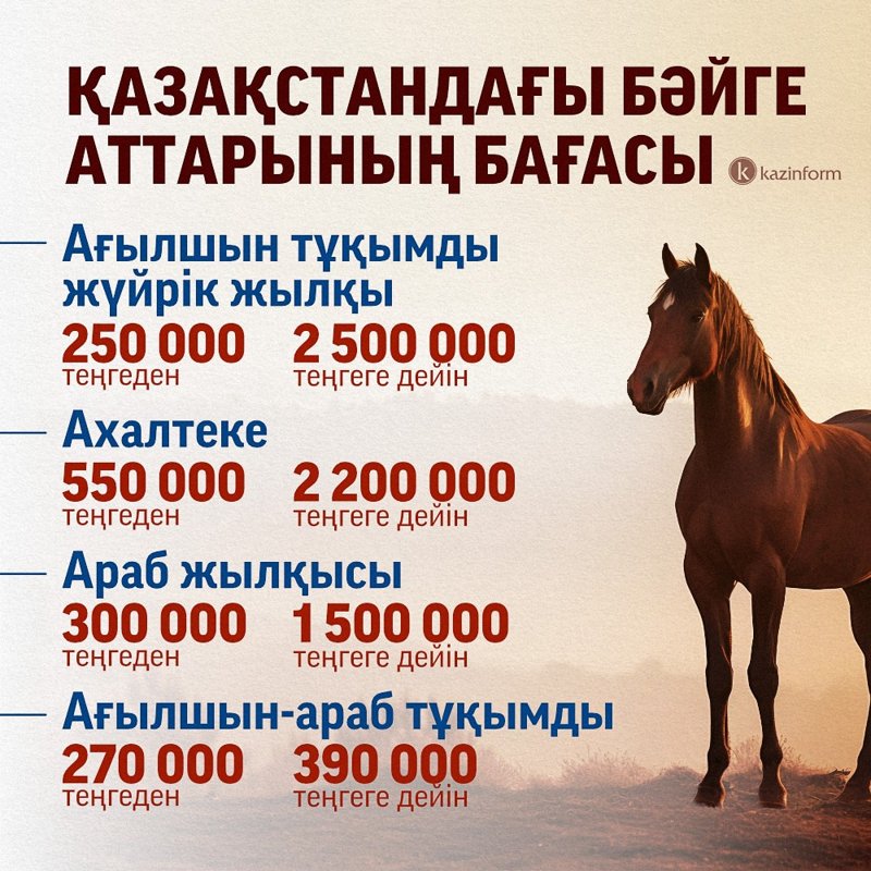 Қазақстанда бәйге аттарының бағасы қанша Қазақстанда бәйге аттарының бағасы қанша