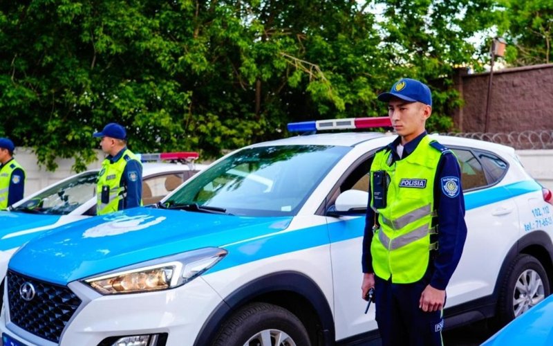 В Астане начались рейды против вандалов