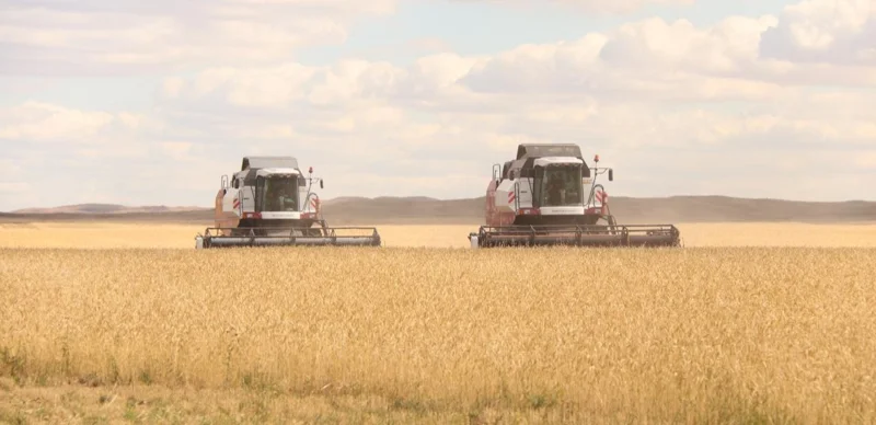 Қарағанды облысының ауыл тұрғындарына «Ауыл аманаты» жобасы қалай көмектеседі 