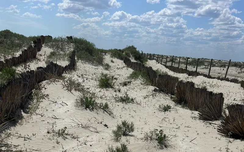 На краю пустыни: какие села Атырау могут исчезнуть под песками