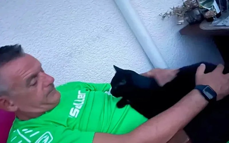 эркак мушуги билан эркак мушуги билан