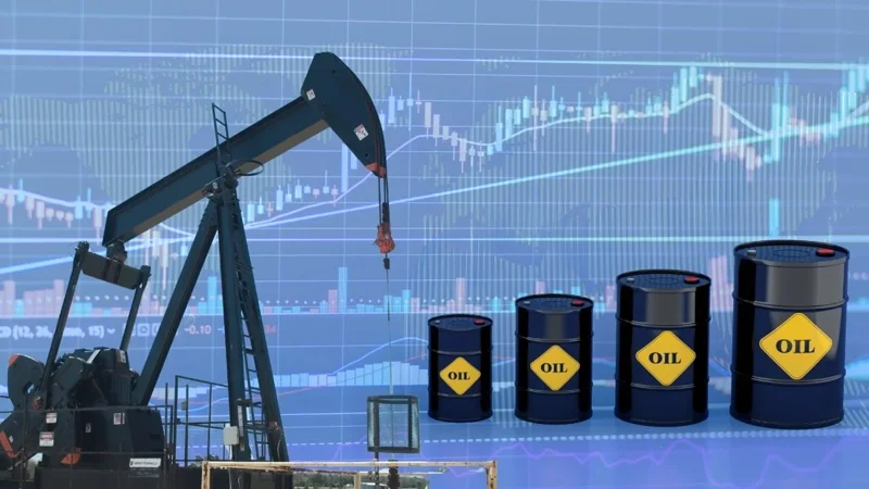 Oil