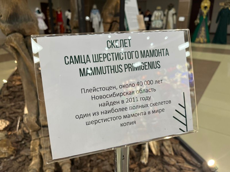 выставка выставка