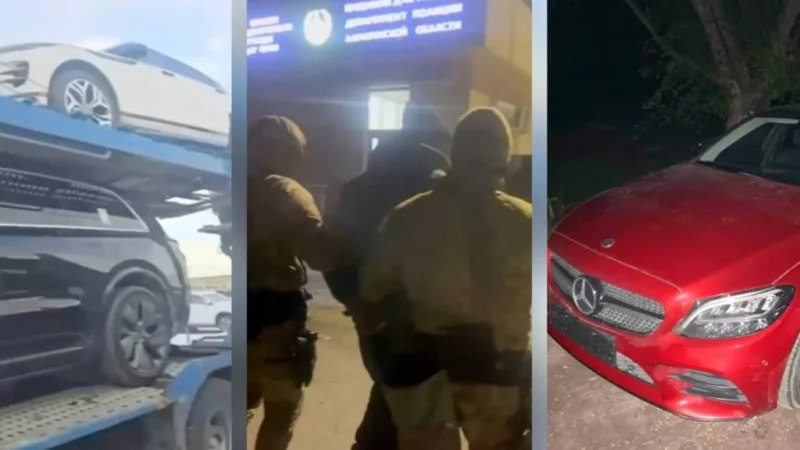 Крупная схема автомошенничества раскрыта в области Жетысу