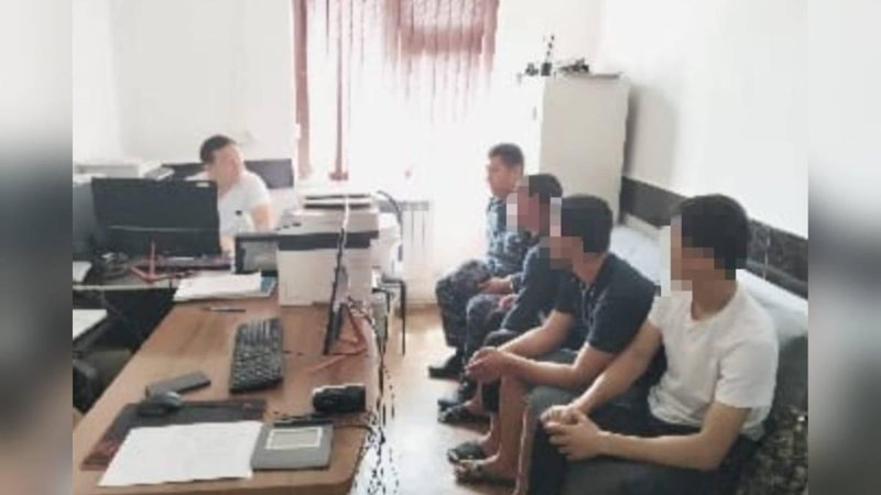 Серийную кражу лошадей на 19 млн тенге раскрыли в Туркестанской области о