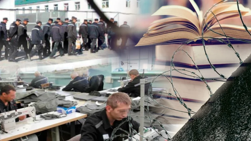 Как и где работают заключенные в Казахстане — ответ МВД