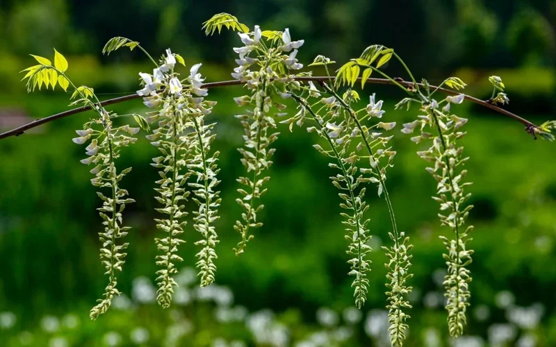 Weather with no precipitation in store for most Kazakhstan through Wednesday