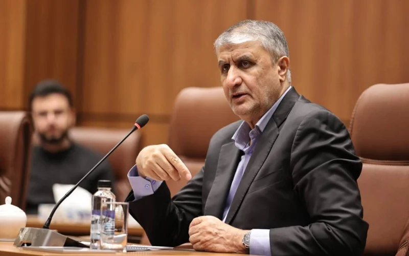 Иран готов допустить американских инспекторов на ядерные объекты в случае сделки с США