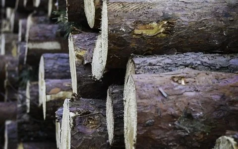 timber