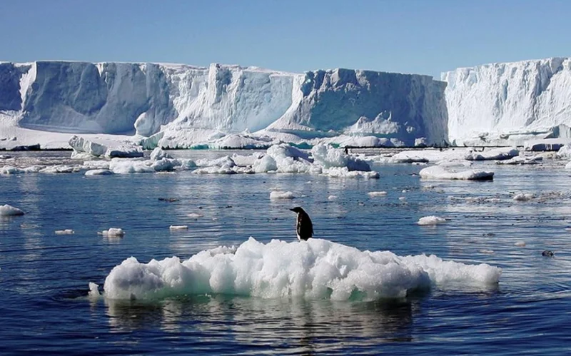 Алдағы жылдары Арктикадағы жылыну жаһандық орташа көрсеткіштен үш есе артық болады 