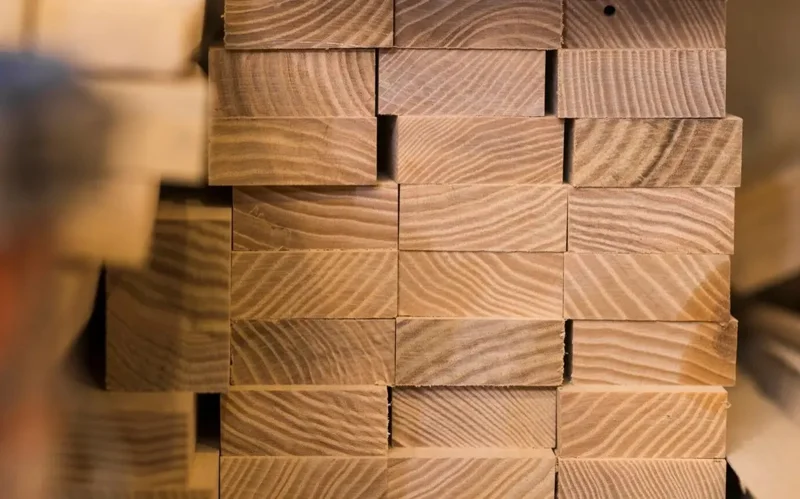 Кыргызстан ввел запрет на экспорт древесины и лесоматериалов