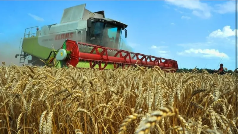 Энг катта экин майдони 