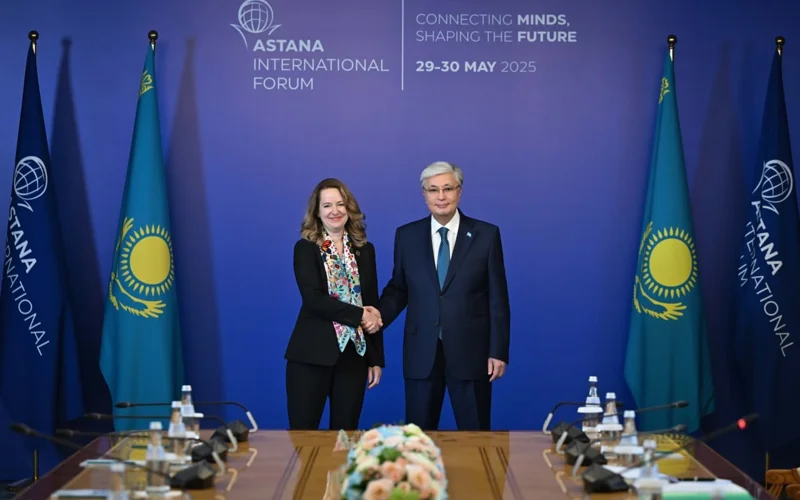 Президент Казахстана принял Генерального директора Международной организации по миграции