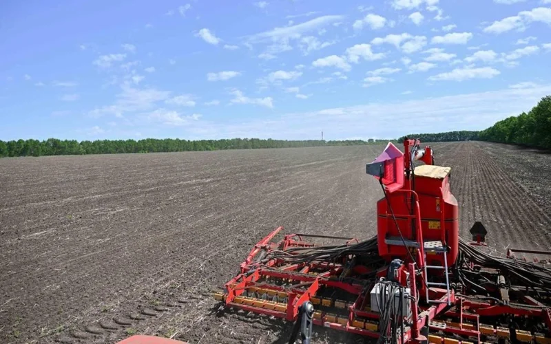 Где в Казахстане засеяно больше всего сельхозугодий