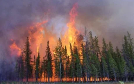 пожар в Канаде