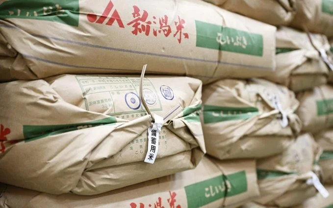 Rice exports