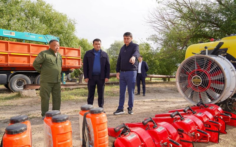 Түркістандағы «Жасыл белдеу» жайқалып келеді Түркістандағы «Жасыл белдеу» жайқалып келеді