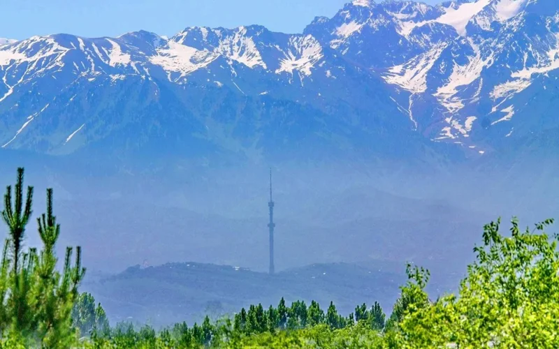 Мемлекет басшысы Алматыда итальян сауда үйін ашуды ұсынды 