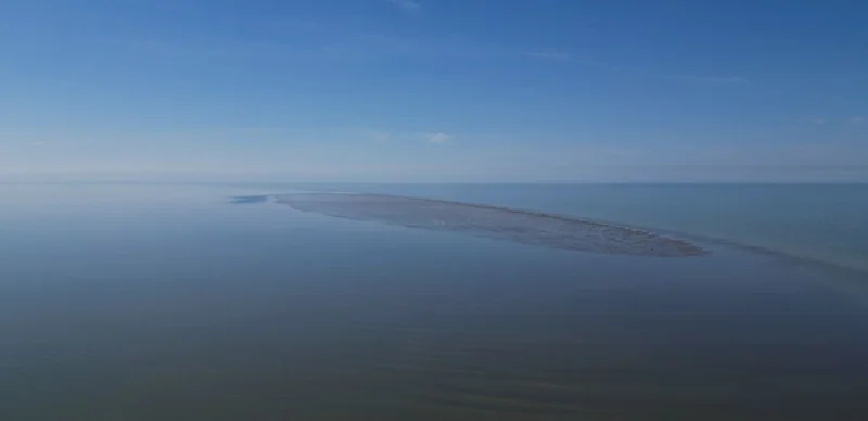 арал пайда болды