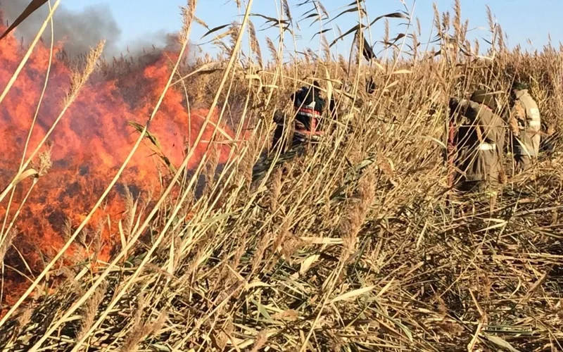 Пожар в природном резервате «Акжайык»