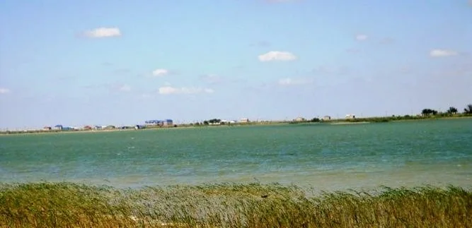 Временно запрещено купание в озере Камысколь в Атырауской области
