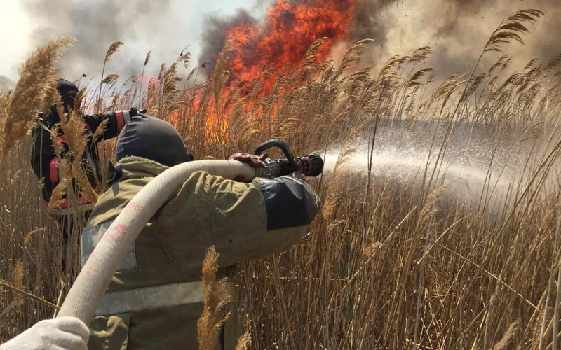 Пожар в атырауском резервате «Акжайык»: с вертолета сброшено 30 тонн воды