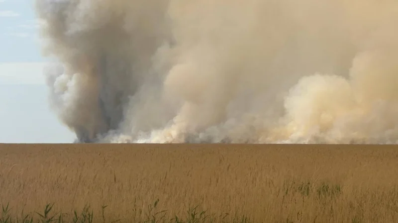 резерват «Акжайык» близ Атырау