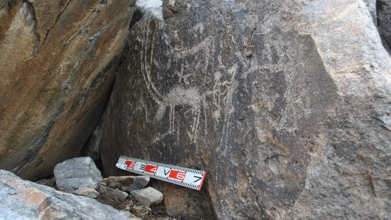 25 новых исторических памятников обнаружили ученые в Карагандинской области