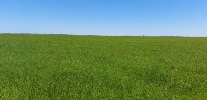 егістік алқап