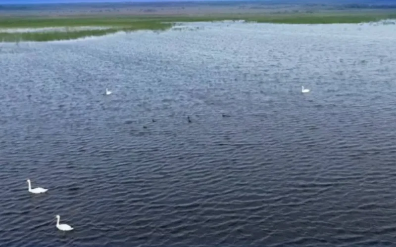 соңғы 10 жылда алғаш рет Талас өзенінің төменгі ағысында су толды