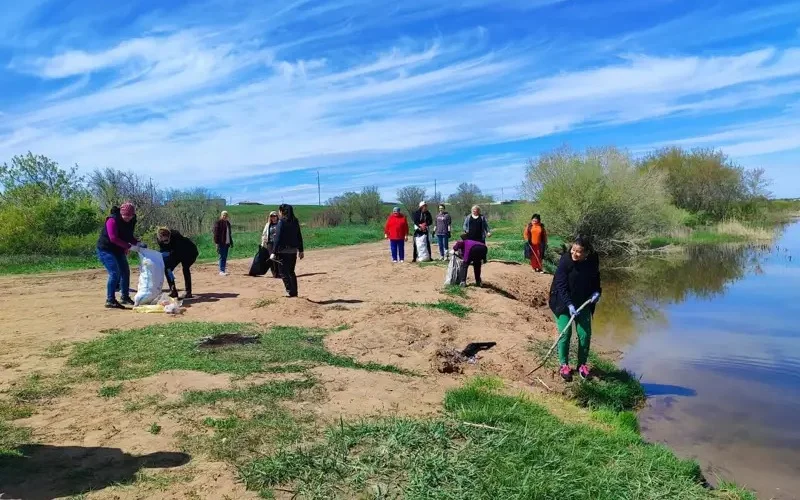 чистка водоемов