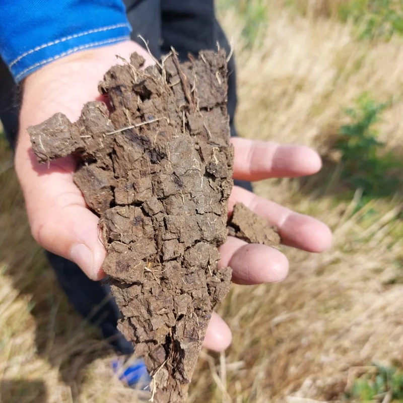 Қол жұмысын кесу