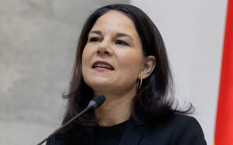 UN General Assembly elects former German foreign minister as 80th session president
