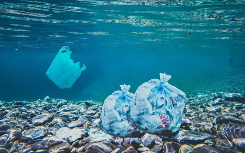 Жапон ғалымдары бірнеше сағат ішінде теңіз суында еріп кететін пластик ойлап тапты