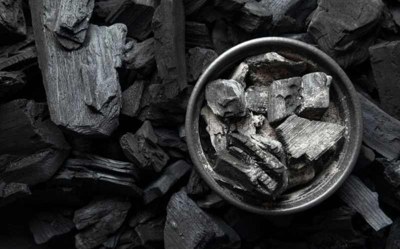 Месторождение графита Сарытоган включено в список стратегических инициатив Евросоюза