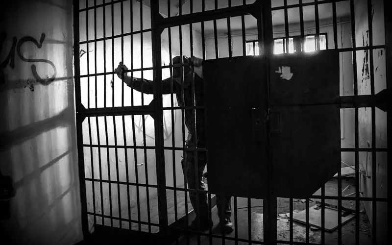  СҚО-да 34 млн теңгенің тұқымын ұрлағандар 5,6 жылға сотталды