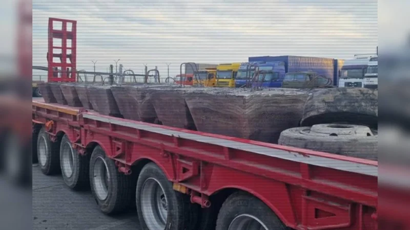 Жетісу облысында 60 тонна қорғасын алып бара жатқан жүк көліктері ұсталды