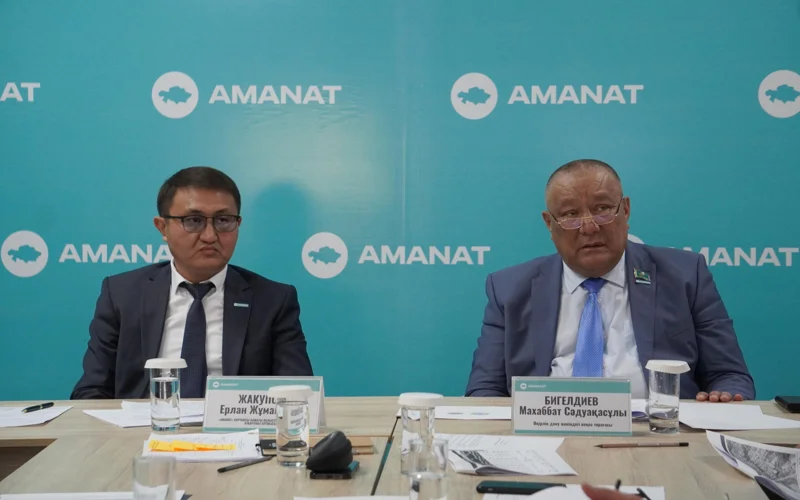 Алматы агломерациясын басқару жүйесі қайта қаралуы мүмкін