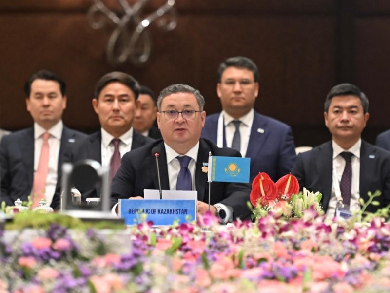 Foreign Minister Nurtleu participates in Ministerial Meeting of Central Asia – India Dialogue Central Asia - India