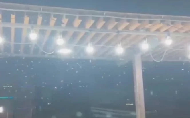 Комариное нашествие в Балхаше: жители избегают прогулок