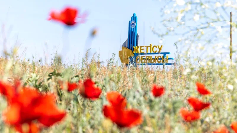 Что достигнуто в области Жетысу за 3 года